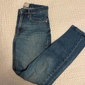 Everlane High Rise Skinny Jeans